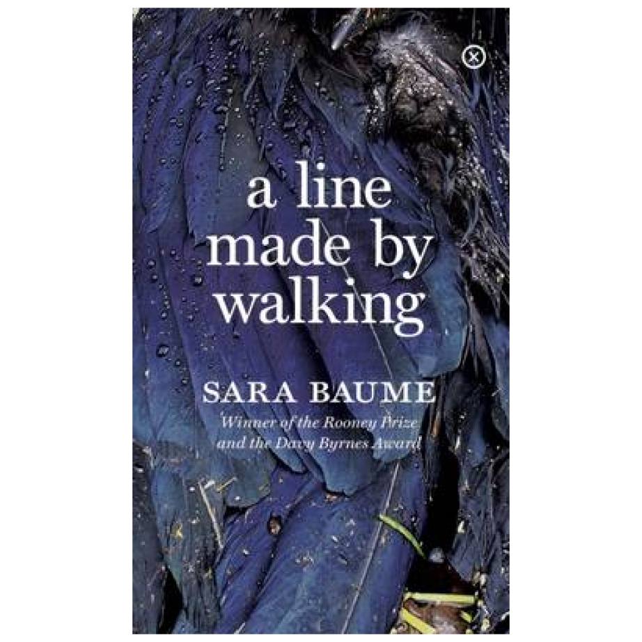 A Line Made by Walking