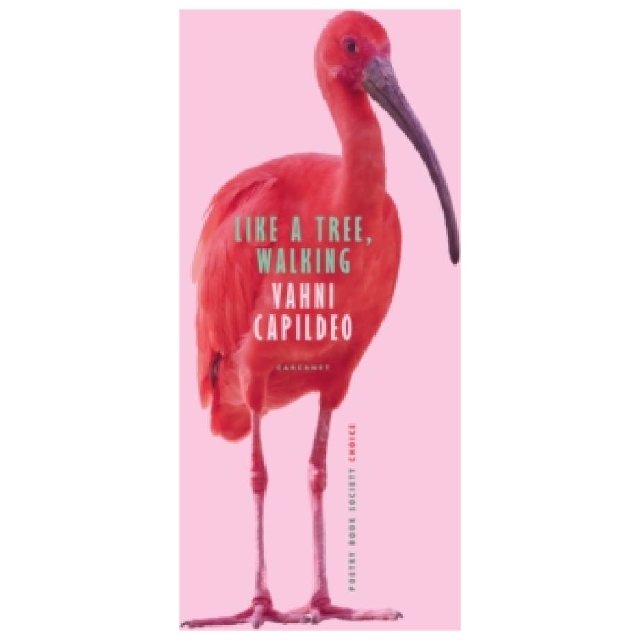 Like a Tree, Walking