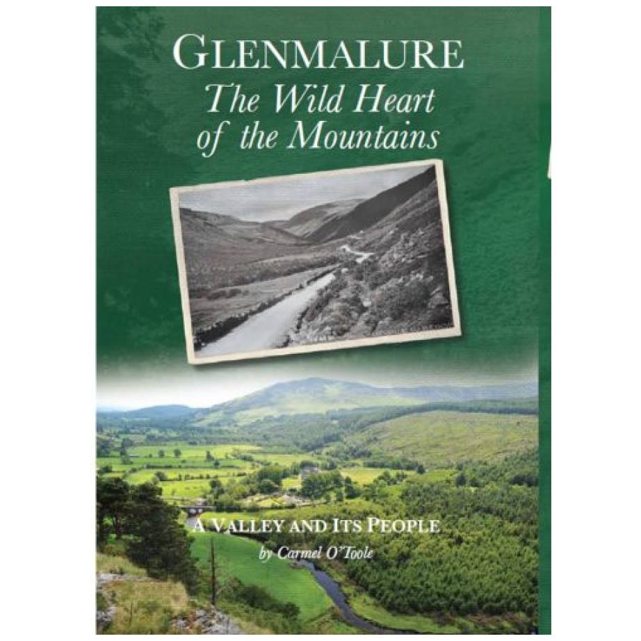 glenmalure_book-374x499