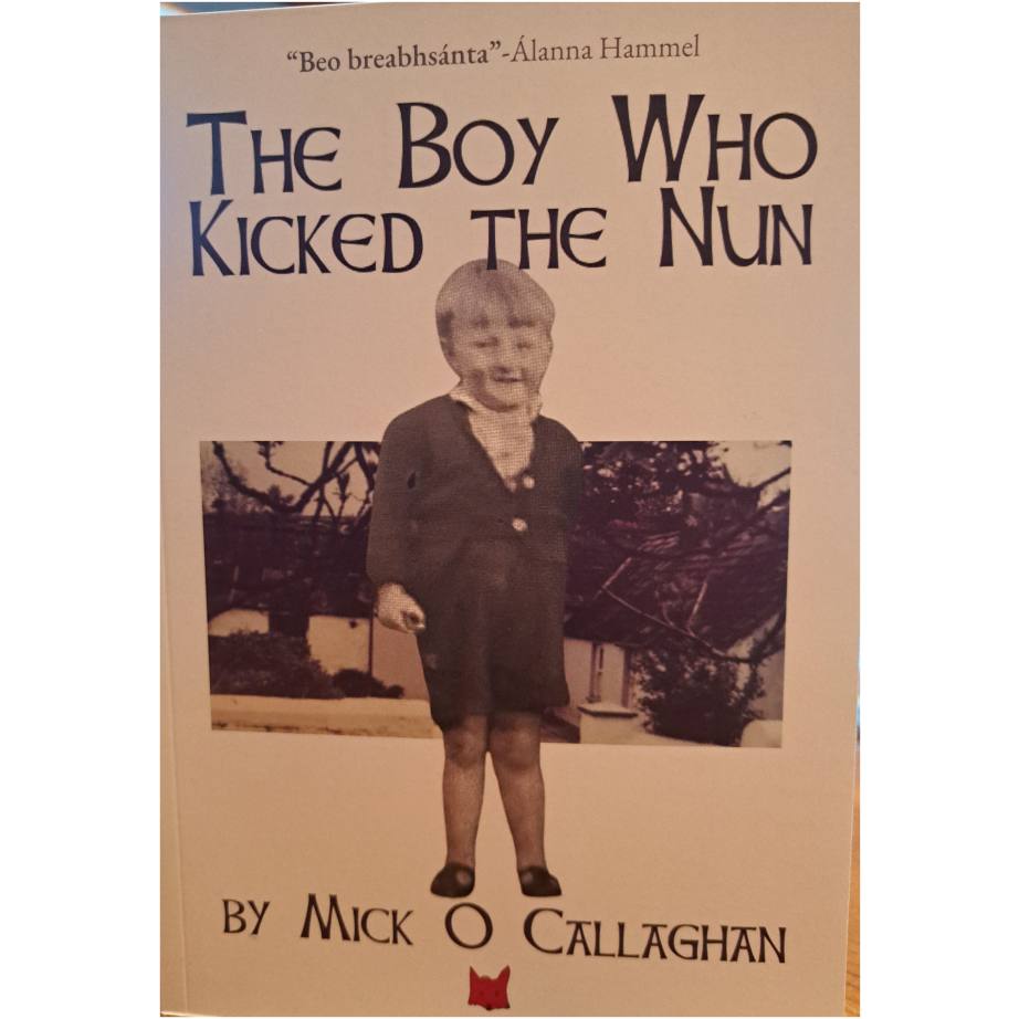 boy kicked a nun