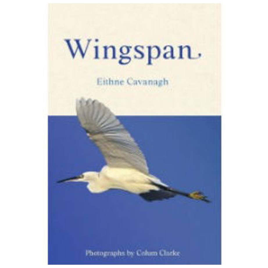 wingspan