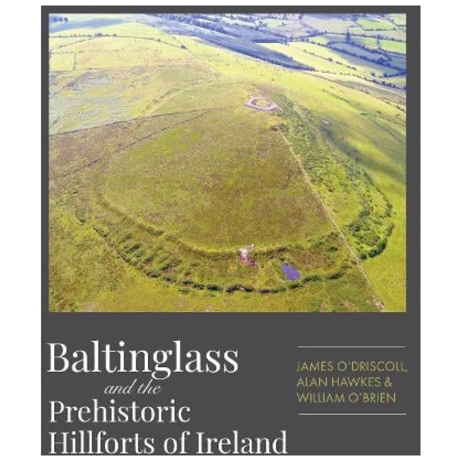 Baltinglass hillforts