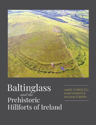 Baltinglass hillforts